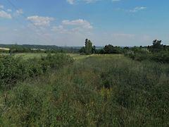 Balatonkenese képe