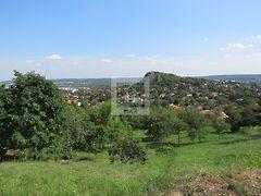 Csikihegyek oldalában, Budaörs képe