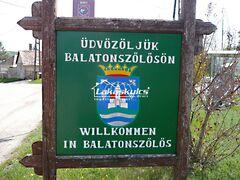 Balatonszőlős képe