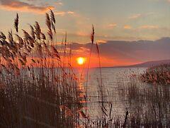 Balatonkenese képe