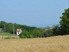 Balatonendréd képe