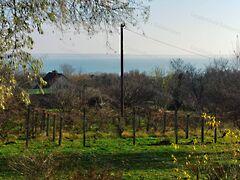 Balatonalmádi képe