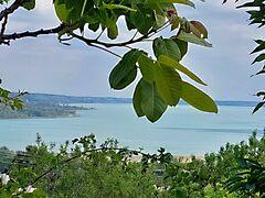 Balatonalmádi képe