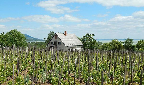 Balatongyörök képe