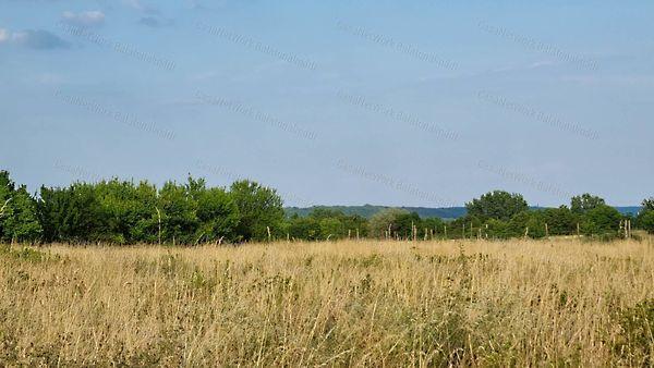 Balatonalmádi képe