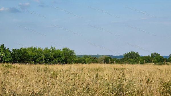 Balatonalmádi 2. képe