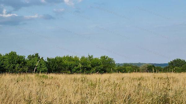 Balatonalmádi 3. képe