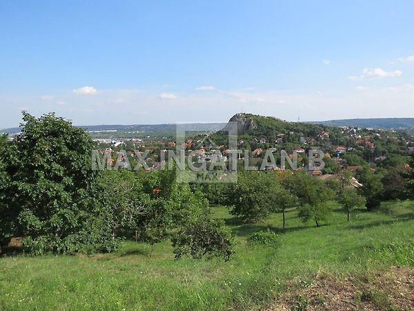 Csikihegyek oldalában, Budaörs képe