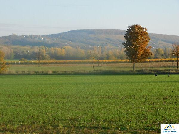 Balatonlelle képe