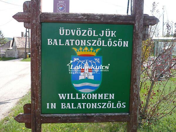 Balatonszőlős képe