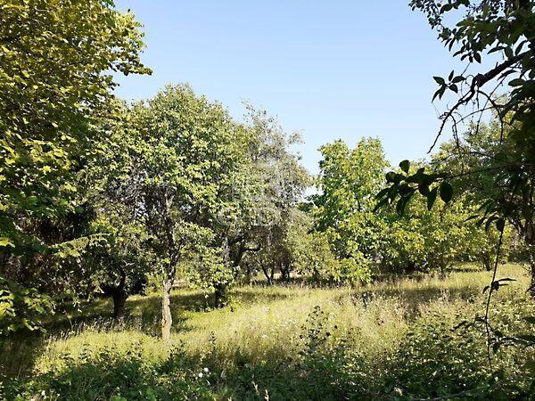 Makkosi út, Budakeszi képe