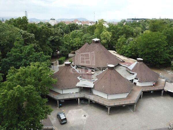 Népligetnél, Budapest, X. kerület 3. képe