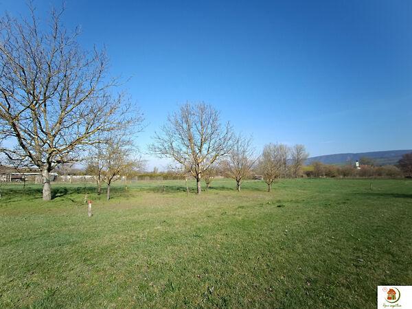 HATALMAS ÉPÍTÉSI TELEK CSODÁS PANORÁMÁVAL, Piliscsév 2. képe