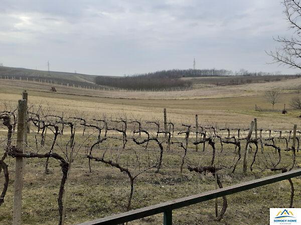 Tóthegy, Balatonlelle 2. képe