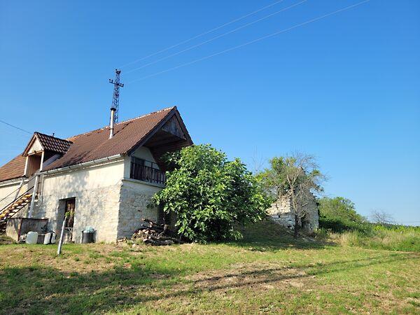 Kisgella, Balatonszőlős képe