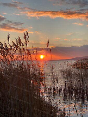 Balatonkenese képe