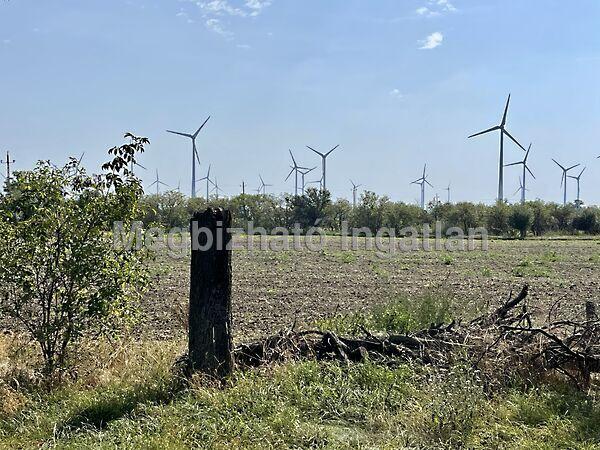 Albertkázmérpuszta, Várbalog képe