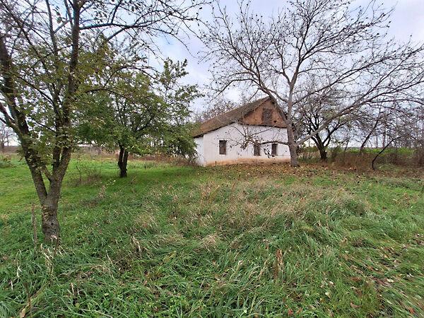 Kútvölgytanya, Hódmezővásárhely képe