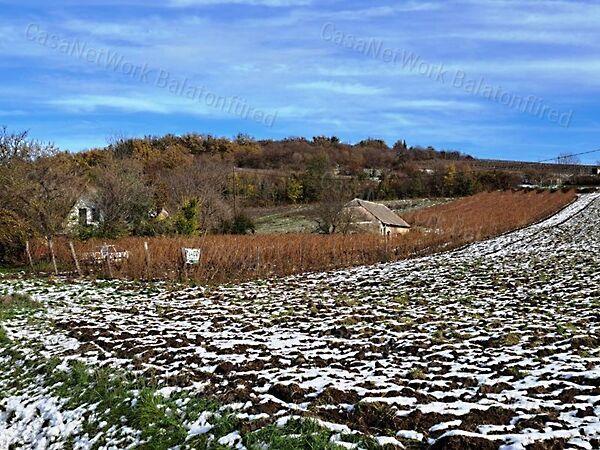 Balatoncsicsó 3. képe