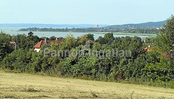 Balatonfűzfő képe