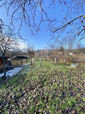 Hobbitelek gyümölcsfákkal, Budaörs 2. képe