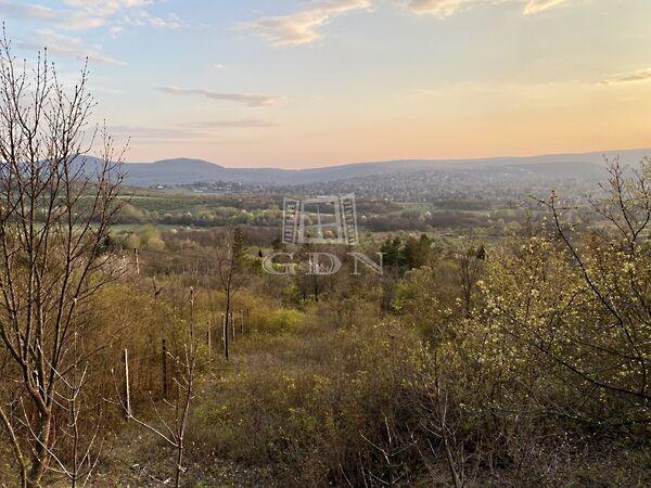 Varázslatos panoráma!, Budapest, II. kerület képe