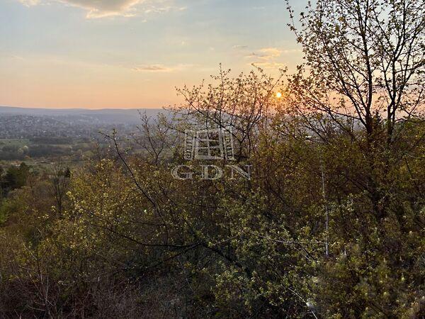 Varázslatos panoráma!, Budapest, II. kerület 2. képe