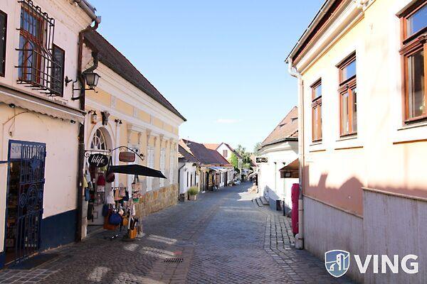 Szentendre, Szentendre képe