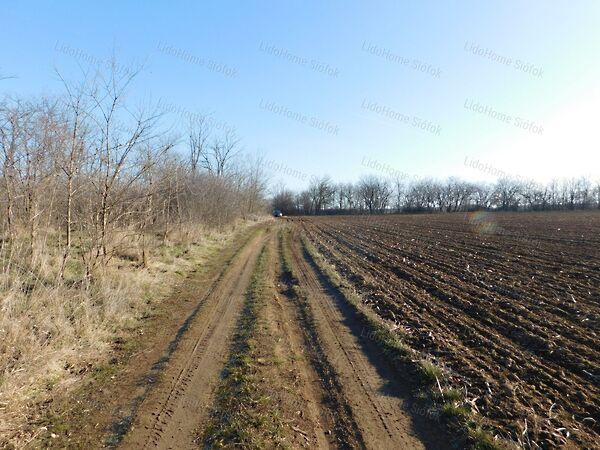 Balatonendréd képe