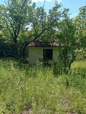 Balatonkenese képe