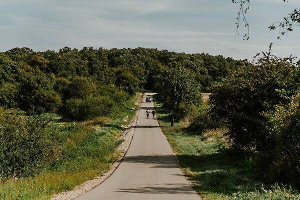 Balatonszőlős 2. képe