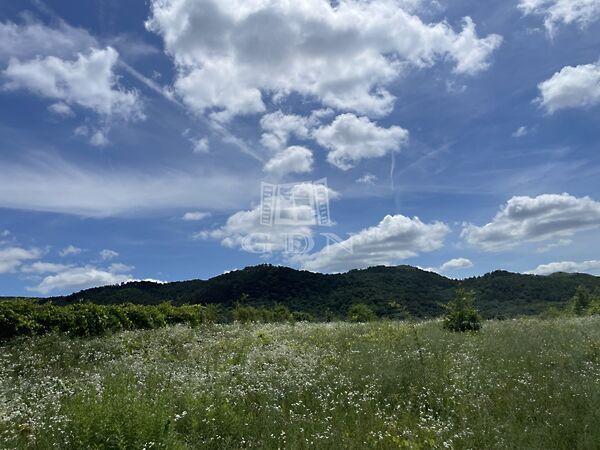 Nagyszénászug, Budakeszi 2. képe