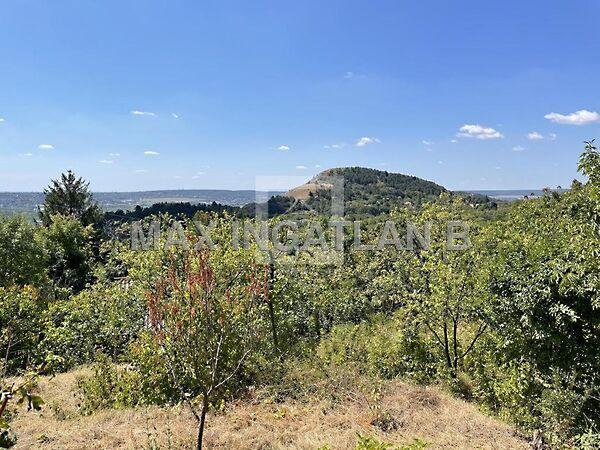 természetvédelem közelében, Budaörs képe