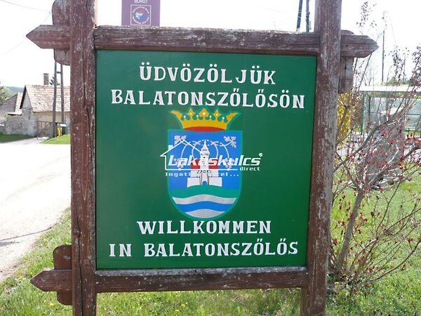 Balatonszőlős képe