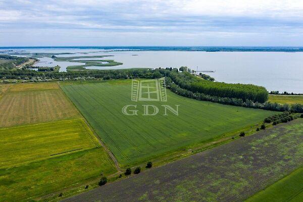 Tisza-tó partja, Sarud 2. képe