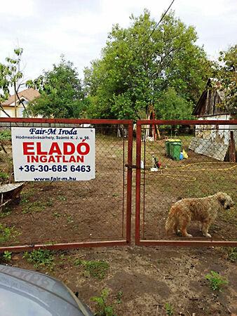 Fári u., Hódmezővásárhely képe