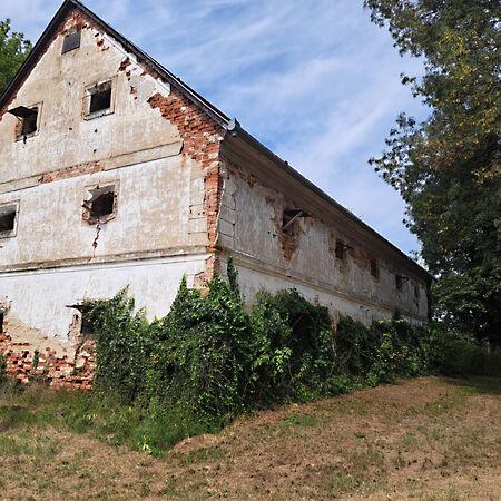 Szőkedencs képe