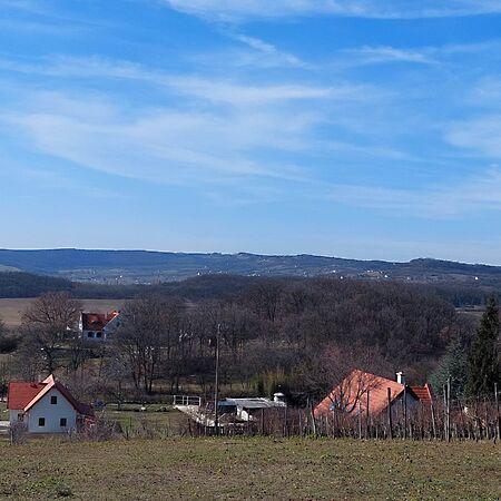 Balatonszőlős képe