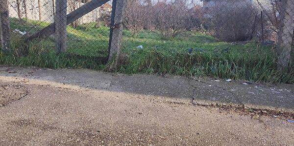 Salamon, Mezőkövesd képe